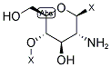 2-氨基-β-1,4-葡聚糖