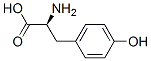 L-络氨酸