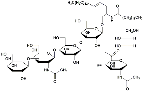 神经节苷酯GM Asialoganglioside GM 35960-3