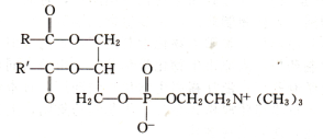 磷脂酰胆碱