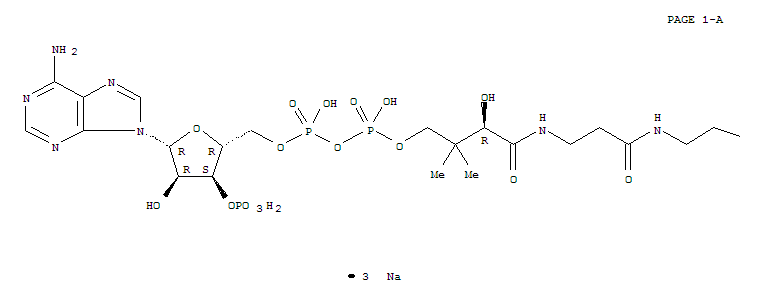 乙酰辅酶A钠盐