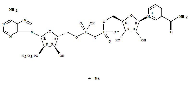 三磷酸吡定核苷酸(NADP一钠盐)