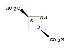 (+/-)-顺-吖丁啶-2,4-二羧酸