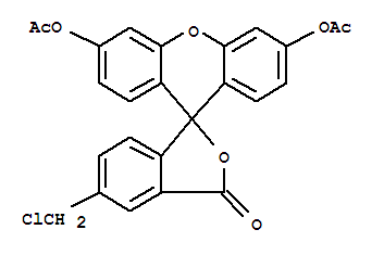 5-氯甲基荧光素二乙酸酯