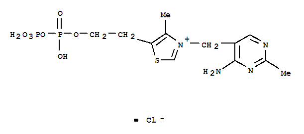 焦磷酸硫胺素