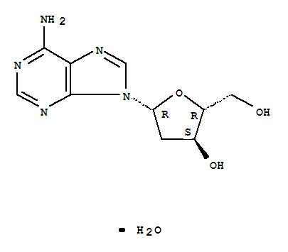 2'-脱氧腺苷一水化物