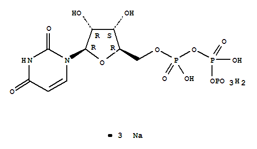 尿苷5'-三磷酸三钠盐水合物 921231