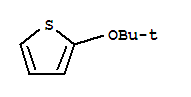 2-叔-丁氧基噻吩