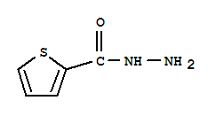 噻吩-2-甲酰肼