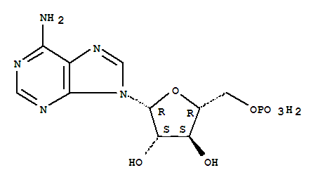 单磷酸阿糖腺苷