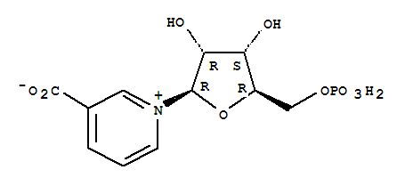 烟酸单核苷酸