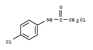N-(4-氯苯基)-2-氯乙酰胺