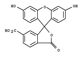 6-羧基荧光素 992375