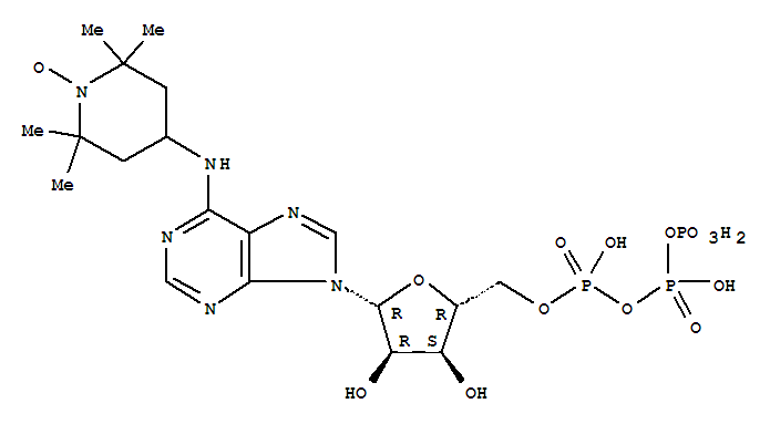 4-((9-(5-O-(羟基((羟基(膦酰氧基)亚膦酰)氧基)亚膦酰)-beta-D-呋喃核糖基)-9H-嘌呤-6-基)氨基)-2,2,6,6-四甲基-1-哌啶基氧基