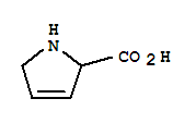 3,4-脱氢-DL-脯氨酸