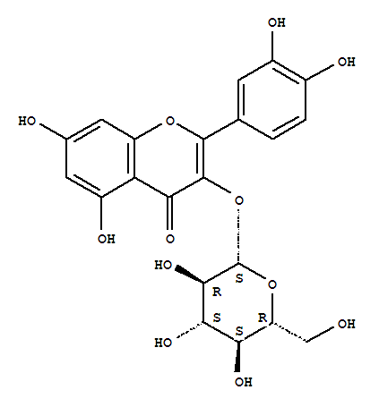 槲皮素-3-O-葡萄糖苷