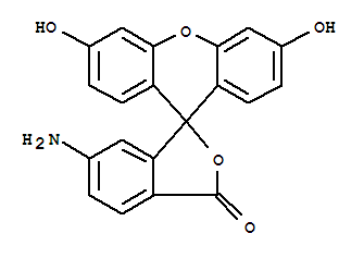 6-氨基荧光素 360221