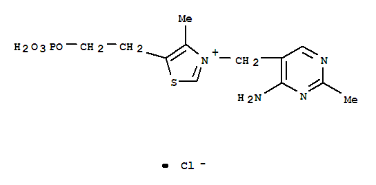 盐酸硫胺素一磷酸盐氯化物