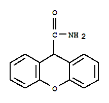 呫吨-9-碳乙酰胺