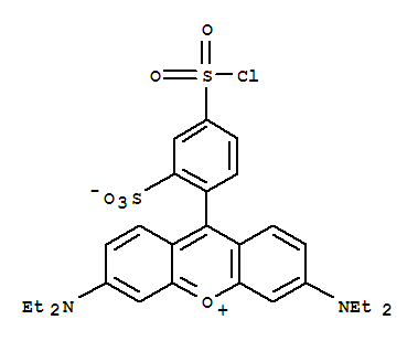 Sulforhodamine B acid chloride [Rhodamine B sulfonyl chloride]nbsp;, [known as Lissaminetrade; Rhodamine B Sulfonyl Chloride, TM of PerkinElmer]