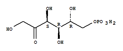 果糖-6-磷酸