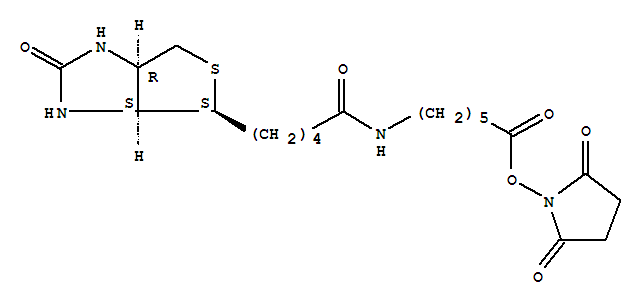 N-琥珀酰亚氨基6-生物素氨己酸 416884