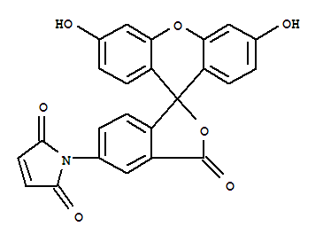荧光素-5-马来酰亚胺 152265