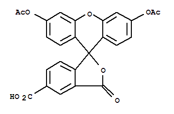 5-羧基荧光素双醋酸盐