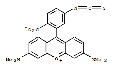 四甲基罗丹明-6-异硫氰酸（单一化合物）