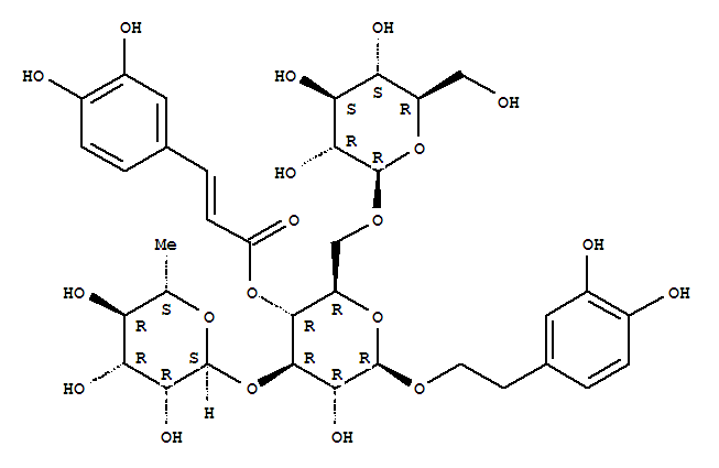 松果菊苷; 海胆苷