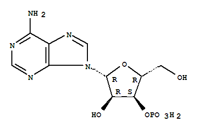 腺苷杂质40