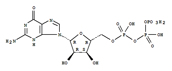 鸟苷三磷酸