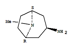 3-α-氨基托烷