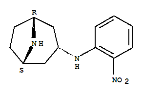 3-氨基-内向-N-(2-硝基苯基)-8-氮杂双环[3.2.1]辛烷