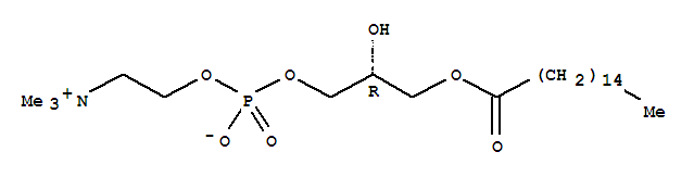 1-十六酰-SN-丙三醇-磷酸胆碱