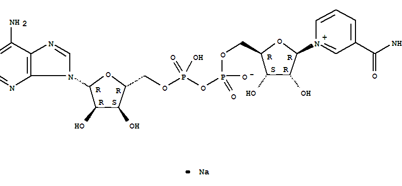 β-烟酰胺腺嘌呤二核苷酸 钠盐