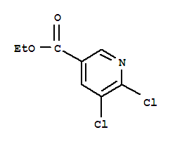 5,6-二氯烟酸乙酯