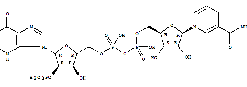 烟酰胺腺嘌呤双核苷酸磷酸四钠盐(辅酶II四钠盐 NADPH)