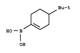 4-叔丁基环己烯-1-硼酸