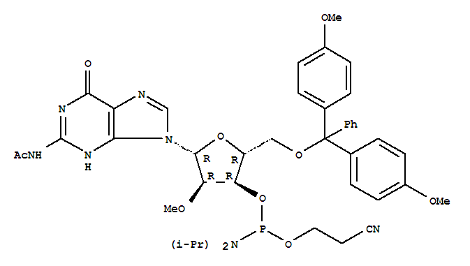 Ac-2'-OMe-rG 亚磷酰胺单体