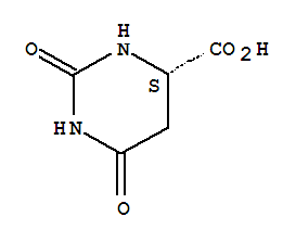 核苷酸