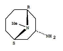 内向-3-氨基-9-甲基-9-氮杂双环[3,3,1]壬烷