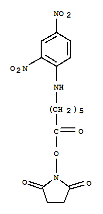 N-(2,4-二硝基苯基)-6-氨基己酸-N-琥伯酰亚胺
