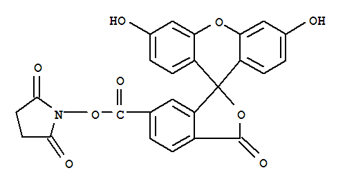 6-羧基荧光素琥珀酰亚胺酯