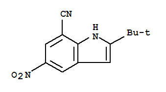 2-叔丁基-5-硝基-1H-吲哚-7-甲腈
