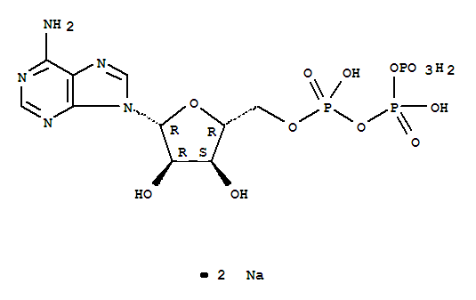 腺苷-5′-三磷酸二钠盐(ATP)