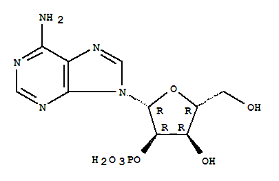 腺苷酸2(3)-磷酸