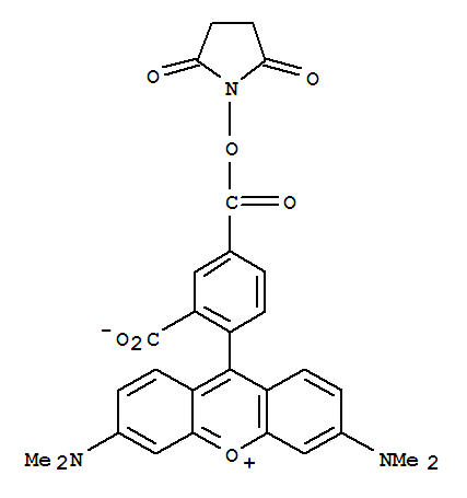 5-羧基四甲基罗丹明琥珀酰亚胺酯 150810-68-7
