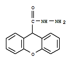 9-呫吨羧酸酰肼