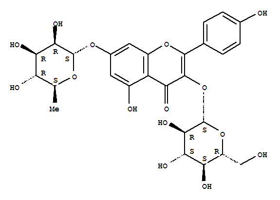 2-吡咯烷-1-基乙基 {2-[(己氧基)甲基]苯基}氨基甲酸酯乙二酸酯